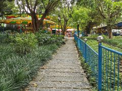-晓港公园