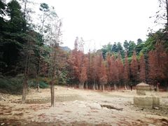 -广州市帽峰山景区