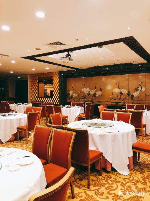 凤凰楼--环境图片-深圳美食-大众点评网