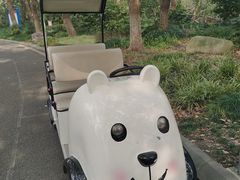 -昆山城市生态森林公园