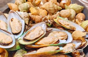 Cheesy Mussels Stew