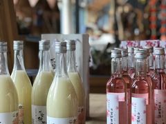 -田园东方蜜桃村的田野营地