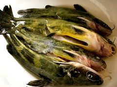 黄辣丁-融泽漁悦三只耳鱼火锅(南郑大道店)