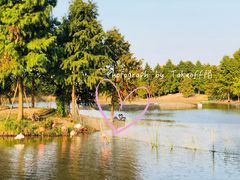 -宁波杭州湾国家湿地公园