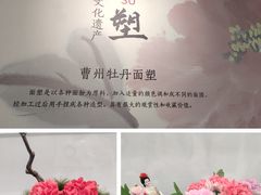 -曹州牡丹园