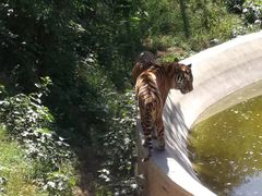 -石家庄市动物园