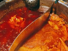 -重庆锦火锅(惠福东路店)