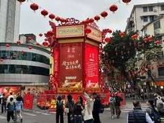 -越秀西湖花市(广州城市广场花卉店)