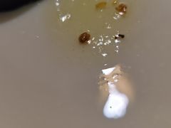 -福巷湘食小馆·猛火现炒(上海首店)