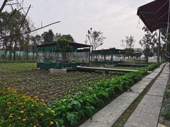 -洪湖家庭农场·团建·露营·会议