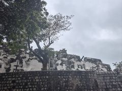 -大炮台