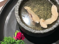 -马仕玖煲·融合菜·酥不腻烤鸭(人大店)