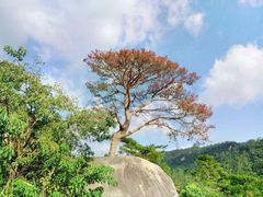 -老界岭旅游度假区