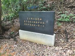 -马王堆汉墓遗址