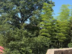 -莫干山风景区