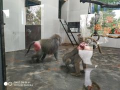 -西安秦岭野生动物园