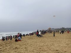 -东海岛旅游度假区