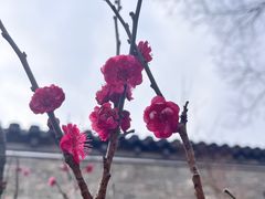-回龙窝历史文化街区