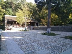 -镇江市南山风景名胜区竹林景区