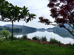-宁波九龙湖开元度假村