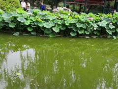 -宣武艺园