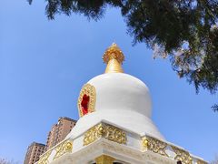 -护国法轮寺