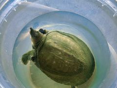 -粮心小农·大头虾亲子生态园(长发店)