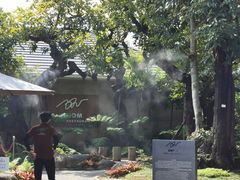 -Chom Cafe and Restaurant