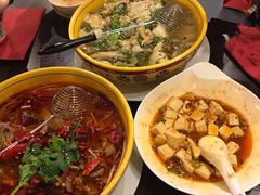 -熊猫川菜馆 panda chine