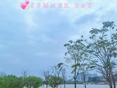 -洲头咀公园