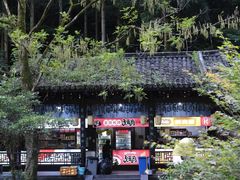 -刘伯温故里景区百丈漈