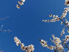 -北京凤凰岭