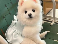 -爱侣宠医·鹦鹉专科·小型哺乳类·异宠专科(灵石路店)