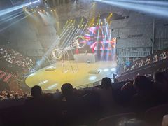 -重庆国际马戏城
