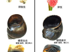 -苏州太湖湖滨国家湿地公园