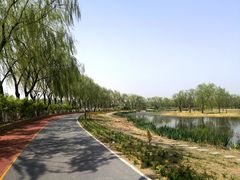 -大兴滨河森林公园