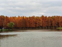 -四明湖