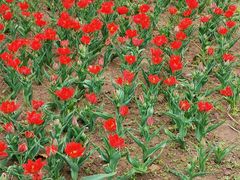 -长春公园(普阳街道)