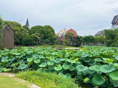-美兰湖景区