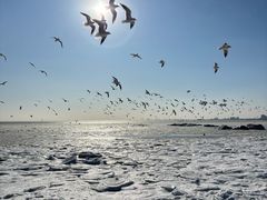 -老虎石海上公园