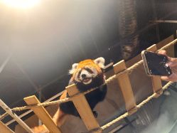 -Zoolung Zoolung动物主题公园(海信广场店)