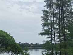 -美的鹭湖森林度假区