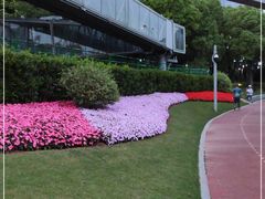 -北外滩滨江绿地