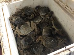 -岳各庄批发市场(西四环中路店)