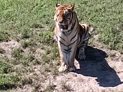 -沈阳森林动物园