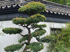-巡塘古镇