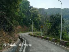 -天鹿湖森林公园