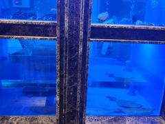 水产区-毛家饭店·30年融合新湘菜(汉峪金谷店)