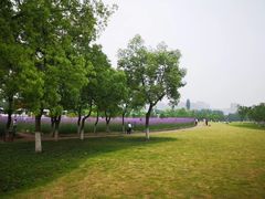 -杭州城北体育公园