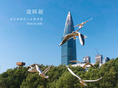 -深圳湾公园(南山区)